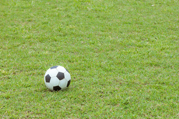 Football on the grass for background