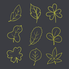 Leaves line icon set vector illustration