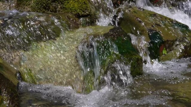 清流　小川　夏
