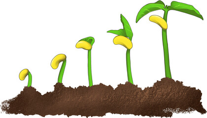 Grow seed to plant for nature ecology watercolor