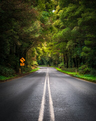 Obraz premium Australian Road