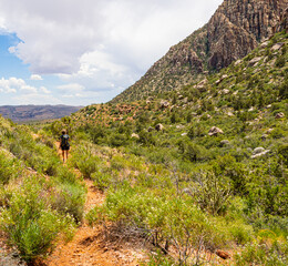 Female Hiker Below The Wilson Cliffs on The SMYC Trail, Red Rock Canyon National Conservation Area, Nevada, USA