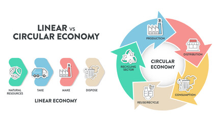 The vector infographic diagram of the difference between the circular economy and linear economy. Compare linear and circular infographics for presentations or banners for websites. Economy concepts.