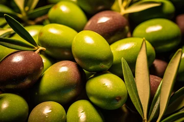 Fototapete Mittelmeereuropa Fresh olives close-up photo harvest season
