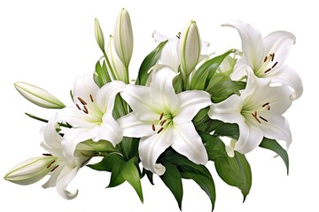 Obraz premium Easter Lily flowers on white background