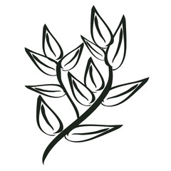 leaf line dark green line hand drawn doodle decorative elements . Concept design nature, tree, plant, leaf about saving the earth.