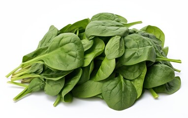 Obraz premium fresh spinach freisolated on white background