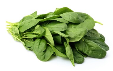fresh spinach freisolated on white background
