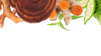 Herbs believed to help Immune-boosting for HIV patients such as momordica charantia and others on transparent background.