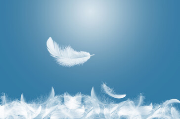 Abstract White Bird Feathers Falling in The Sky. Feather Softness, Floating White Feathers 