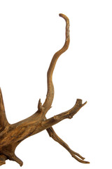 Obraz premium Branches Driftwood or aged wood. Closeup piece of driftwood for aquarium. isolated on transparent background. PNG transparency