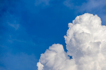 Naklejka premium 夏空と白い雲