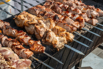 Meat and chicken shish kebab on skewers on coals in the grill.
