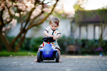 Cute little baby girl playing with blue small toy car in garden of home or nursery. Adorable...