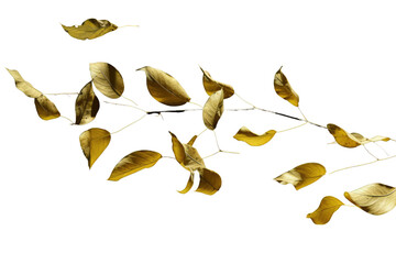  Isolate leaves movement falling slow down , Transparent background. generative AI