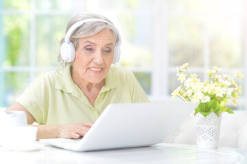 Fototapeta na wymiar old nice woman using laptop at home