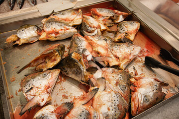 Fresh fish heads on sale in the grocery store.