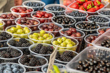 the benefits of berries are different berries on the market 11 Reasons Why Berries Are Among the Healthiest Foods on Earth