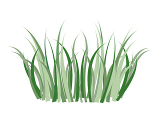 Green grass bush icon in autumn shades isolated on transparent and white background. Close-up element for design decoration with nature. Vector illustration in cartoon flat style.