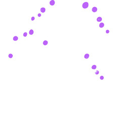 White stripes leaves and flowers