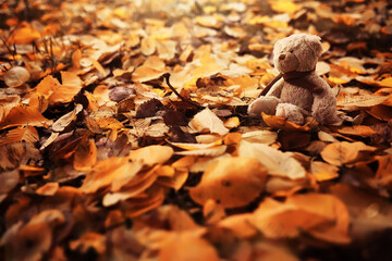 Rear view Teddy bear doll sitting on autum leaves at footpath. Black view lost bear toy looking out...