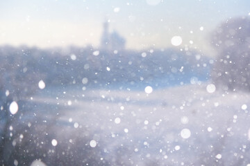 Blurred snow background. Winter landscape. Trees and plants covered with snow.