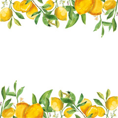 frame of lemon