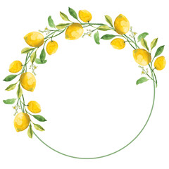 frame of lemon watercolor hand drawn on transparent background. © 7nov.studio