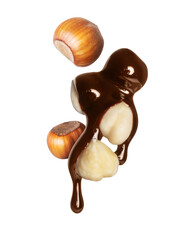 Hazelnuts covered with melted chocolate close-up isolated on a white background