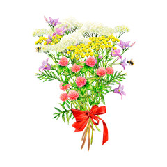 Realistic bouquet of meadow wildflowers - field bell, clover, yarrow and tansy hand-drawn. Watercolor floral natural illustration of delicate plants and red ribbon bow isolated on white background