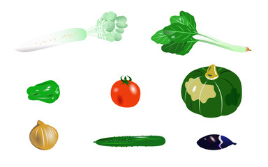 使える夏の野菜のイラストセット