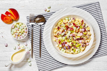 Sweet Apple Salad with celery, marshmallows, pecan