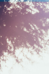 ピンクの木漏れ日の壁