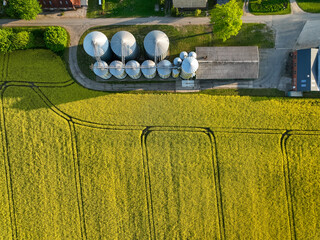Aerial top down view of landscape with  yellow rapeseed field and an agricultural silo. View of...