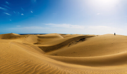 Panoramic view of yellow dunes with horizon of the sea