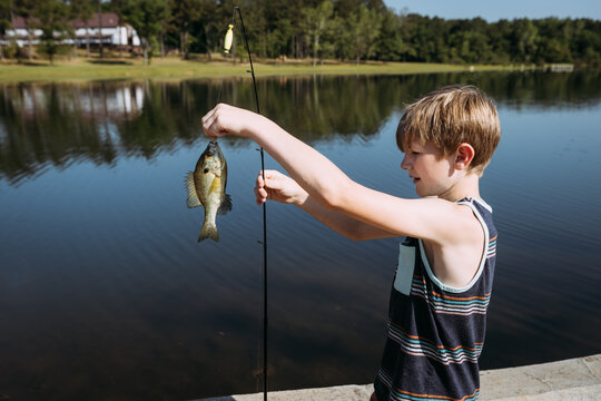 Boy holding up a blue gill fish he caught on rod and reel at pon