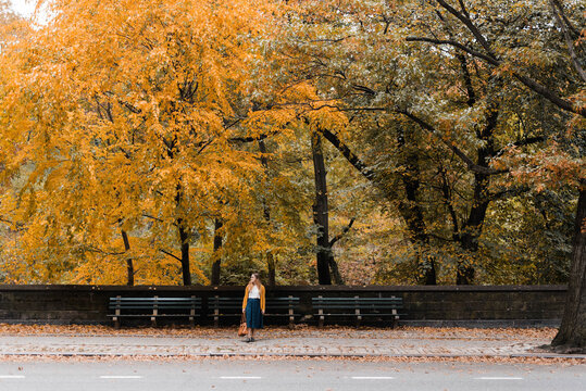 woman stands across the street framed by vibrant yellow fall foliage.