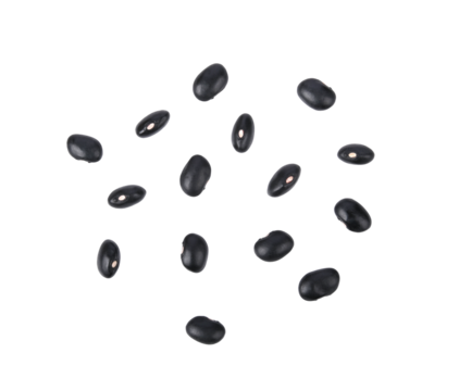 Black beans (black lentil, black gram, vigna mungo ) on transparent png