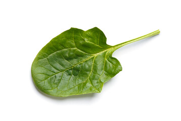 Spinach leaf on a white background close-up, top view.