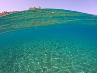 Underwater world of Mediterranean Sea.  Turkey - 624651813