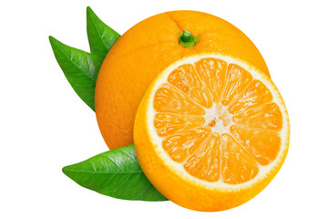 Oranges on an isolated white background. Sliced and whole.