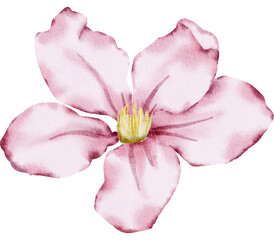 Obraz na płótnie Canvas Pink Flower Watercolor illustration