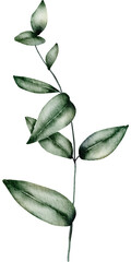 Green Leaf Watercolor  illustration