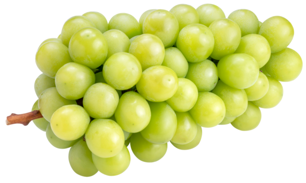 Shine Muscat Grape on white background, Green grape isolate on white with clipping path.