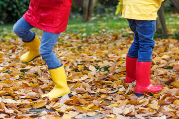 Two little children playing in red and yellow rubber boots in autumn park in colorful rain coats and clothes. Closeup of kids legs in shoes dancing and walking through fall autumnal leaves and foliage