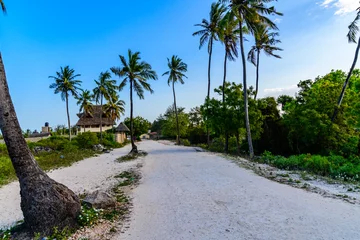 Deurstickers Nungwi Strand, Tanzania Road to beach at the Matemwe village at Zanzibar island, Tanzania