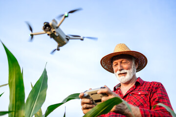 Senior farmer operating agricultural drone analyzing crops growth and spaying corn field.