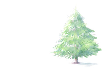 水彩風のもみの木