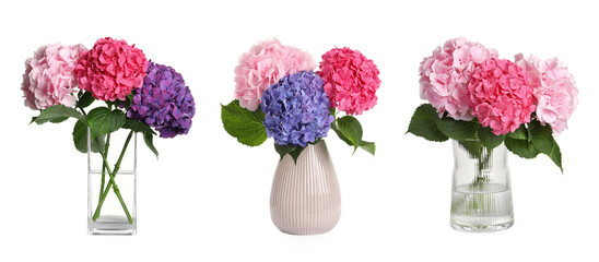 Collage of stylish vases with beautiful hydrangea bouquets on white background