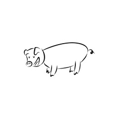 pig with a pig and pig
